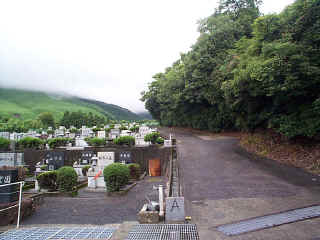 dcp00370.jpg (120509 oCg)