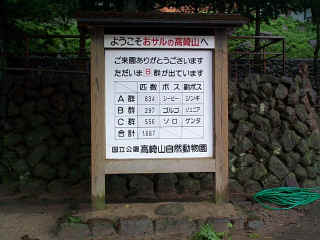 dcp00380.jpg (110597 oCg)
