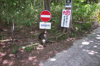 DCP_0687.JPG (148136 oCg)
