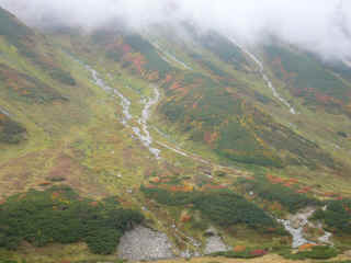 P1020116.JPG (276790 バイト)