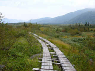 P1020135.JPG (295361 バイト)