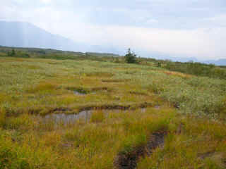 P1020138.JPG (282200 バイト)