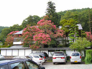 P1030455.JPG (183133 oCg)