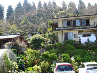 P1040202.JPG (200742 oCg)