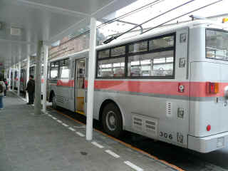 P1100035.JPG (123159 oCg)