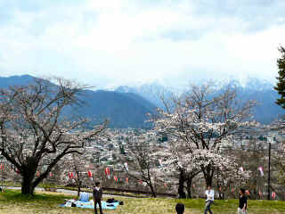 P1100037.JPG (153417 oCg)