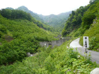 P1100236.JPG (153243 oCg)