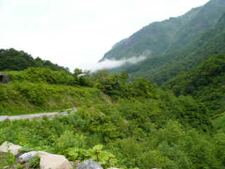 P1100237.JPG (141182 oCg)