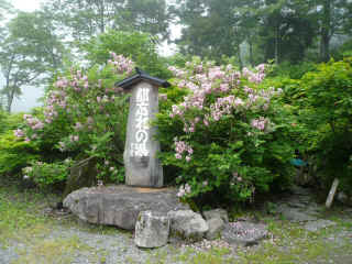P1100241.JPG (176281 oCg)