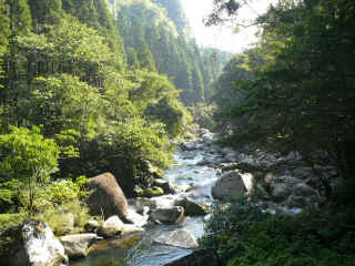 P1100291.JPG (179979 oCg)