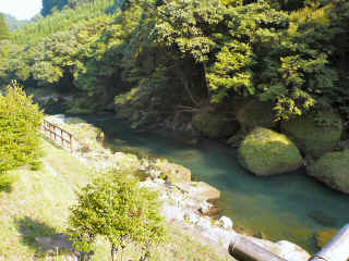 P1100293.JPG (169446 oCg)