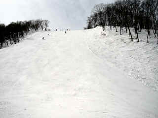 P1010500.JPG (238907 バイト)