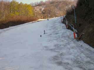 P1010734.JPG (220091 oCg)