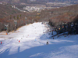 P1020320.JPG (130484 oCg)