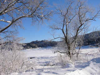P1020370.JPG (169638 oCg)