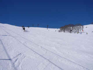 P1020722.JPG (120107 バイト)