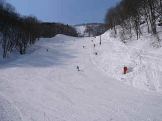 P1020807.JPG (139897 oCg)