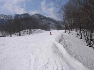 P1020900.JPG (138209 バイト)