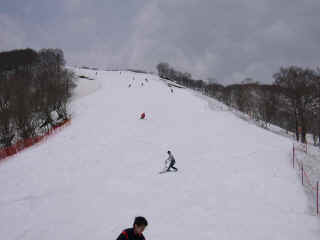 P1030003.JPG (110211 バイト)