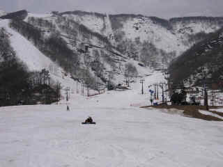 P1030005.JPG (141211 バイト)