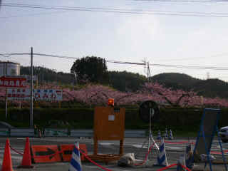 P1030019.JPG (129649 バイト)