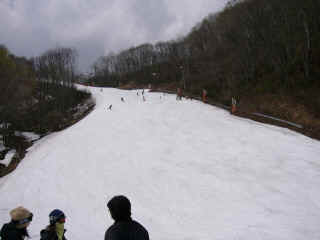 P1030059.JPG (122038 バイト)