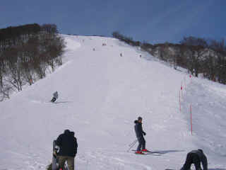 P1030135.JPG (104885 バイト)