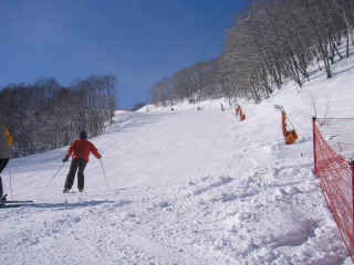 P1030169.JPG (132538 バイト)