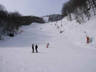P1030370.JPG (123389 バイト)