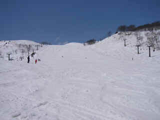 P1030570.JPG (115031 バイト)