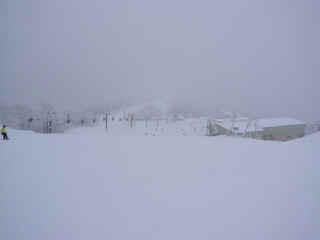 P1000010.JPG (76091 oCg)