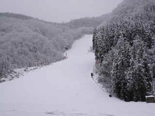 P1000025.JPG (125037 oCg)