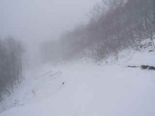 P1090004.JPG (87435 バイト)