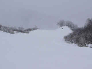 P1090011.JPG (84087 バイト)