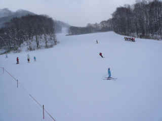 P1090159.JPG (92650 バイト)