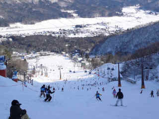 P1090188.JPG (139500 バイト)
