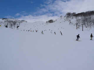 P1090770.JPG (93063 バイト)