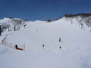 P1090864.JPG (98324 バイト)