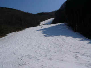 P1100002.JPG (110716 oCg)
