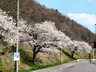P1100004.JPG (178534 oCg)