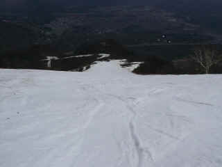 P1100056.JPG (96187 バイト)