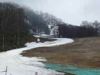 P1100079.JPG (115971 バイト)