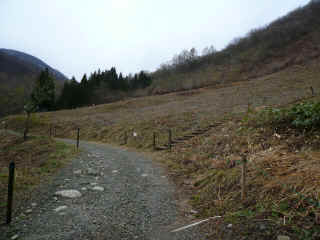 P1100147.JPG (141753 oCg)