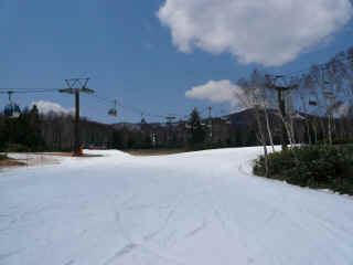 P1100199.JPG (102693 バイト)