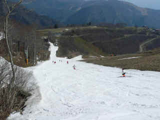 P1100213.JPG (126410 バイト)