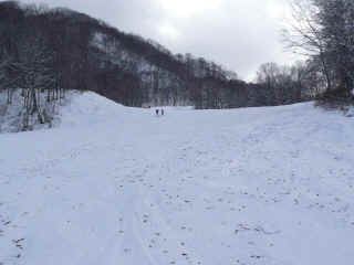 P1100433.JPG (117318 バイト)