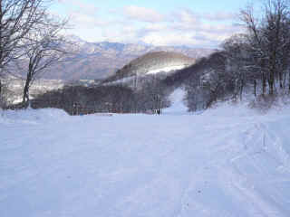 P1100436.JPG (126479 バイト)