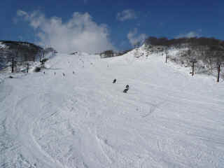 P1100442.JPG (122895 バイト)