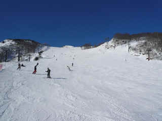 P1100456.JPG (114998 バイト)
