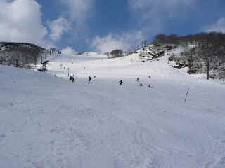 P1100468.JPG (109548 バイト)